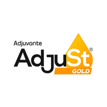 Adjust Gold