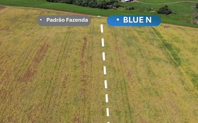 Imagem padrão fazenda x resultado blueN