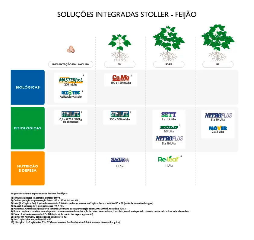 SOLUÇÕES INTEGRADAS STOLLER – ALGODÃO