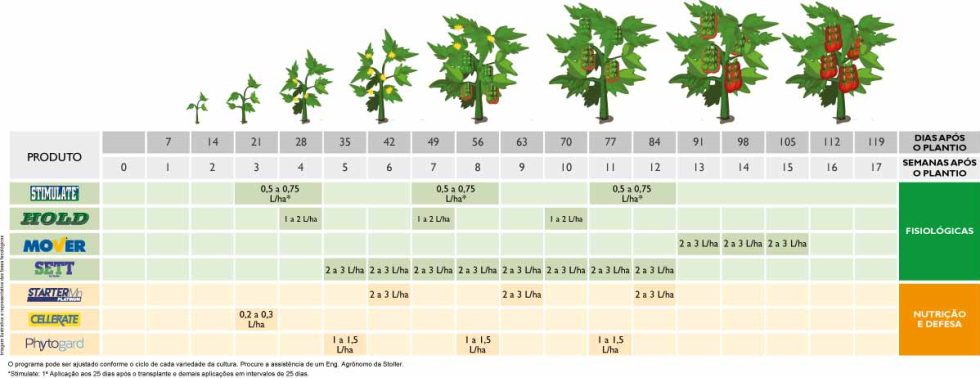 Programas de Manejo Tomate