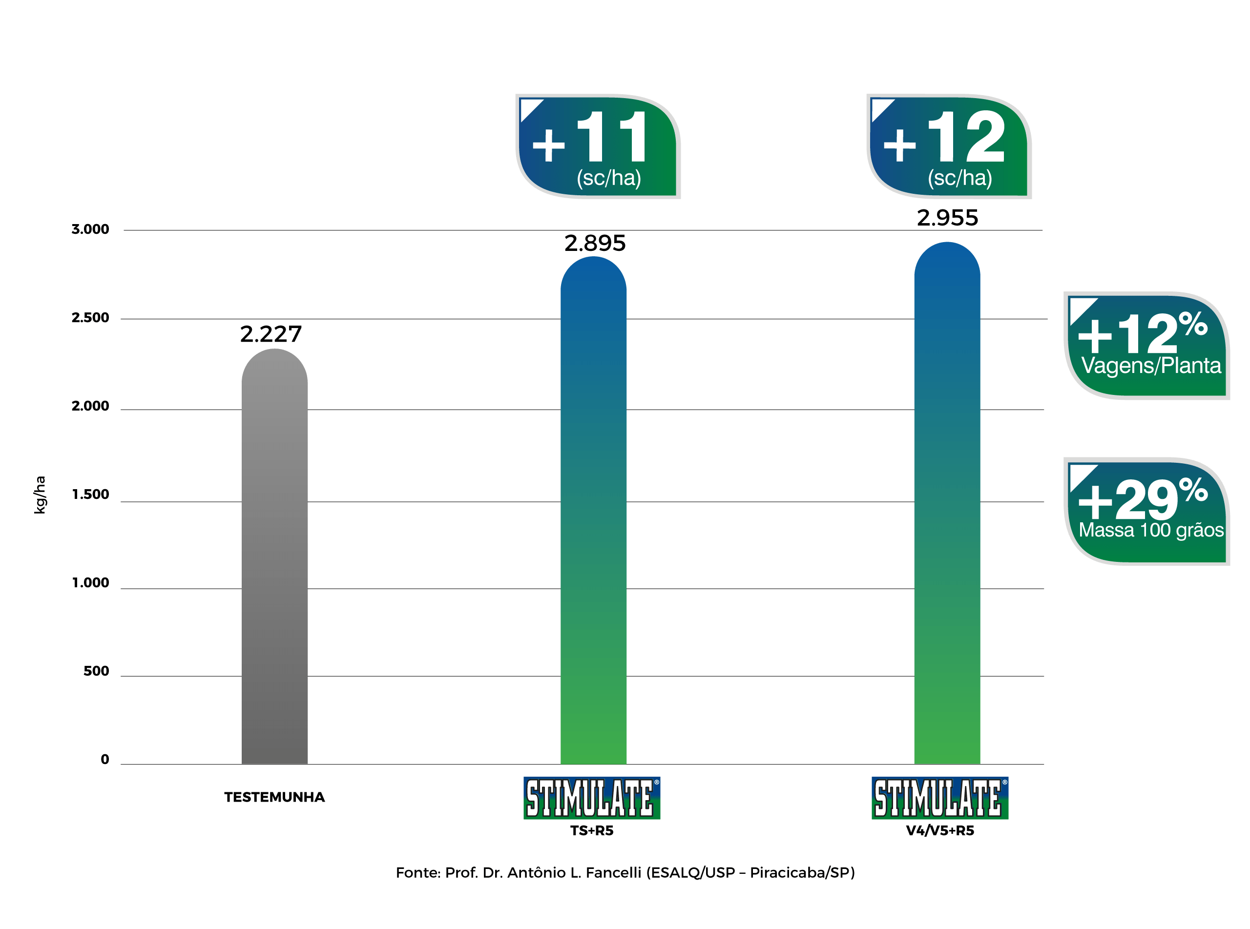 Gráfico: STIMULATE eleva produtividade do algodão e aumenta vagens/planta (+12%) e massa de 100 grãos (+29%).