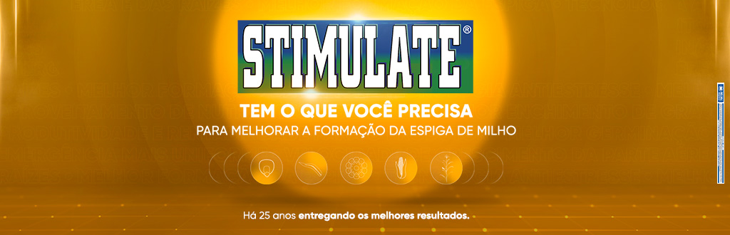 Banner STIMULATE em fundo dourado. O texto informa que o produto oferece o necessário para melhorar a formação da espiga de milho.