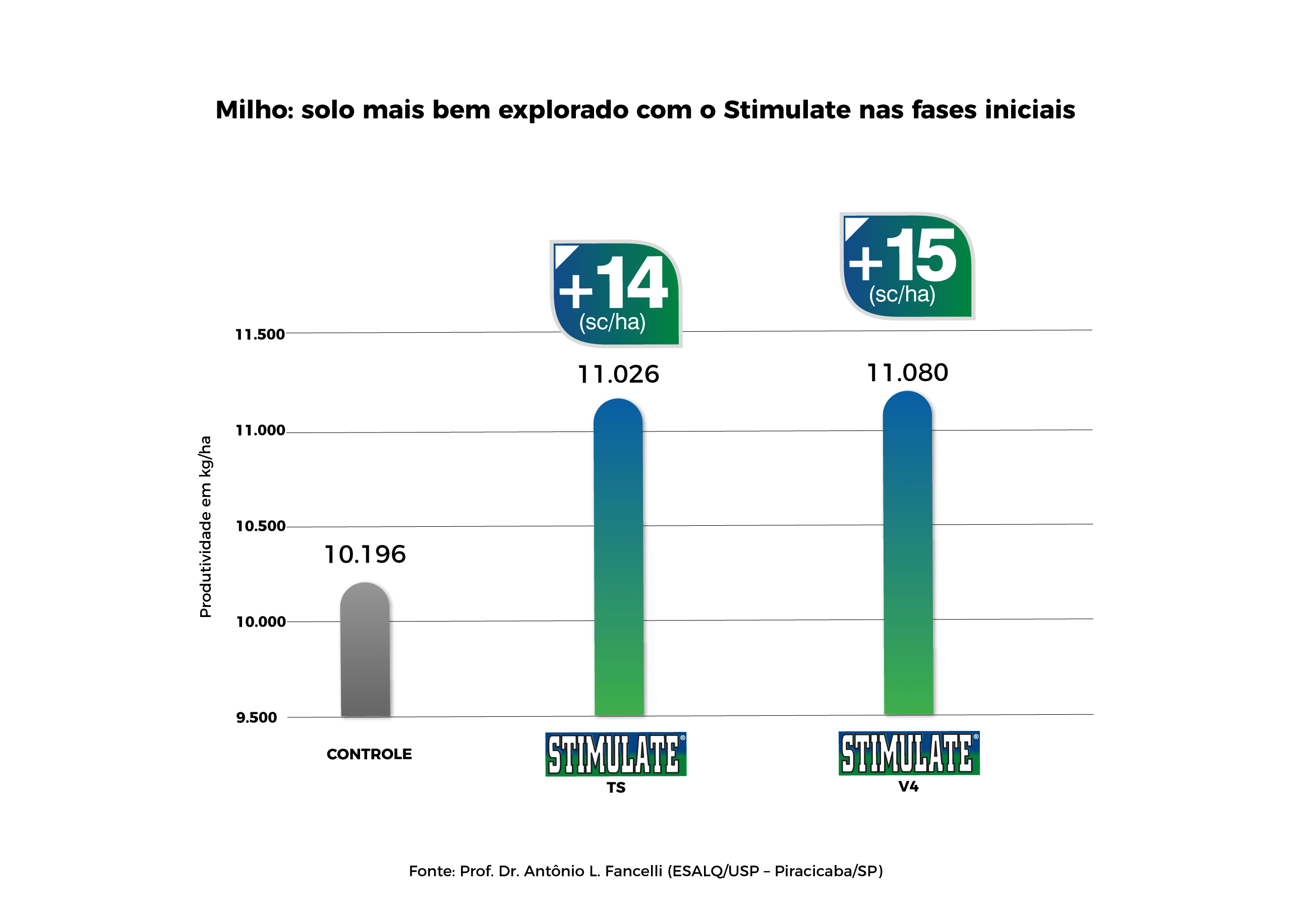 Produtividade de milho: Controle (10.196 sc/ha) vs. STIMULATE TS (+14 sc/ha) e V4 (+15 sc/ha).